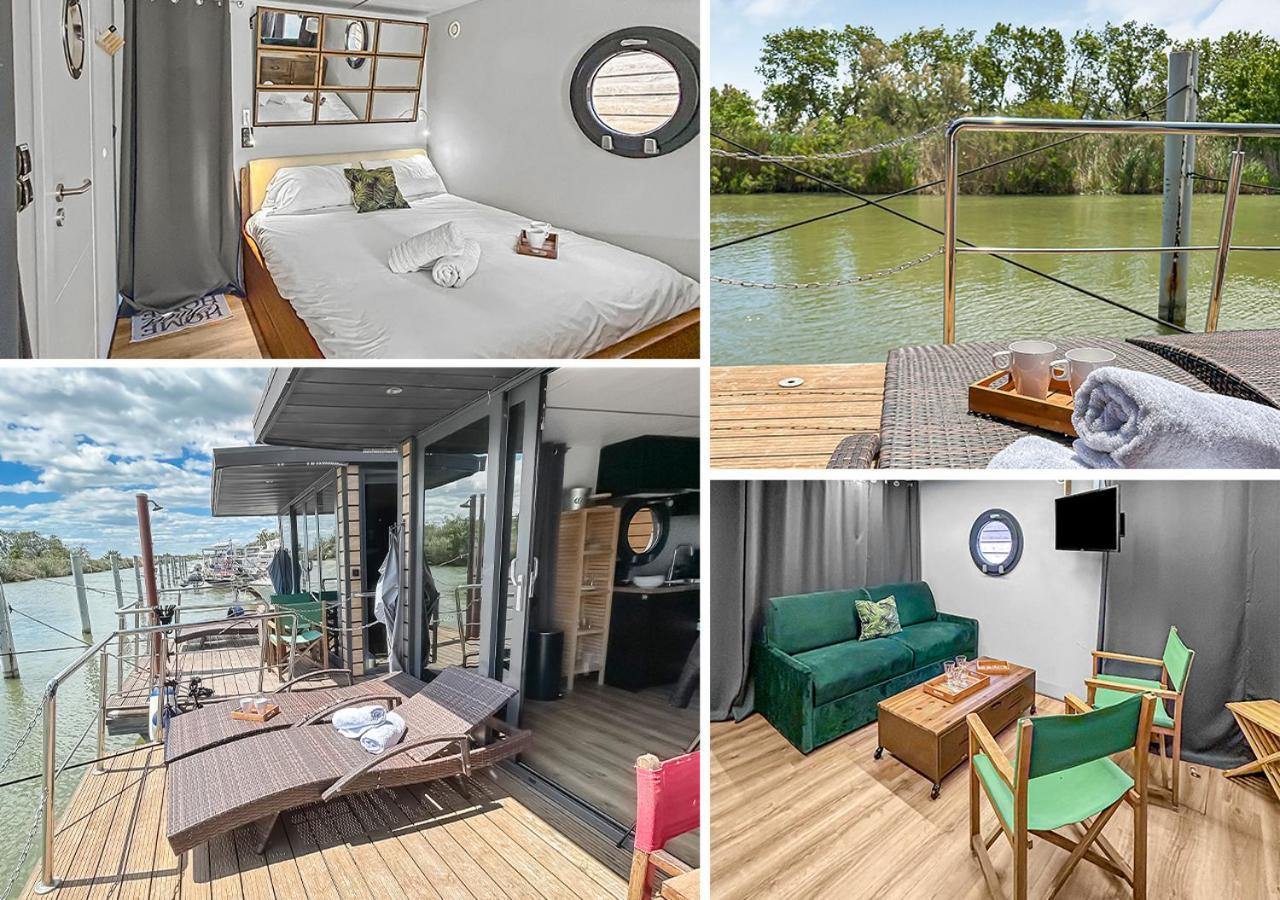 Botel Bord Du Canal Du Rhone A Sete Sur 